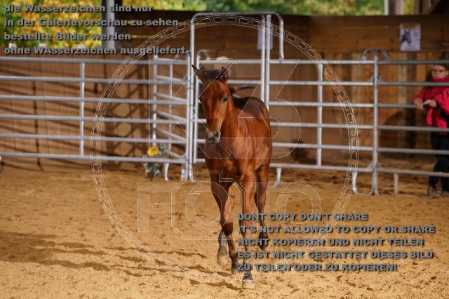 s_K3F05094.JPG